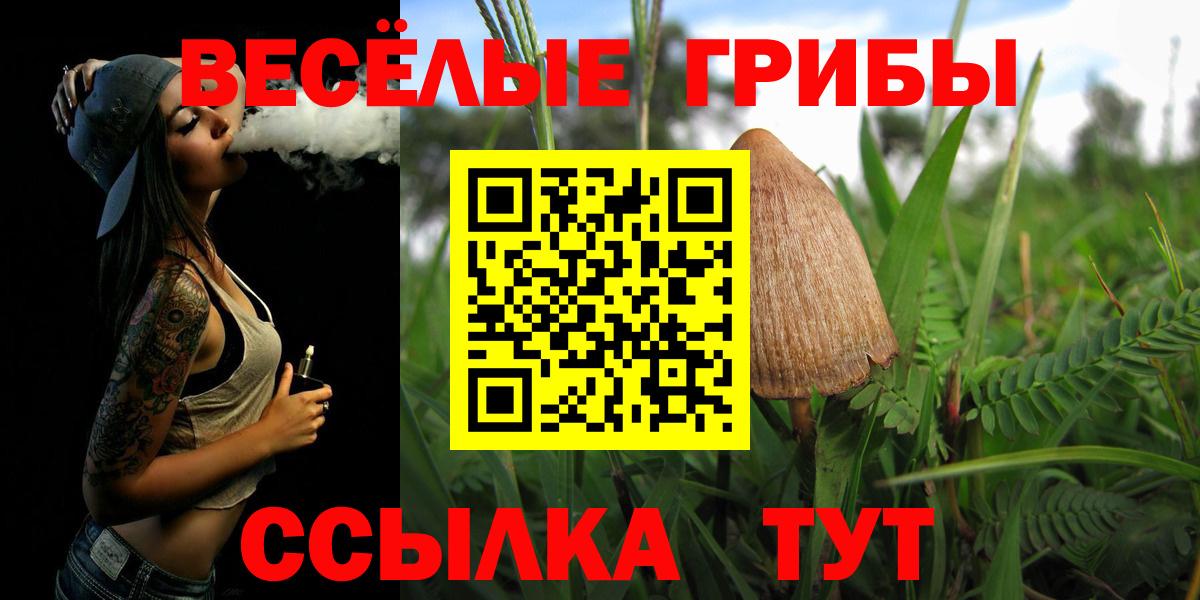 Галлюциногенные грибы Psilocybine cubensis  Вход с VPN  Ижевск  Псилоцибиновые грибы ЛСД 